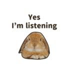 What's up, Everybun！ (English ver.)（個別スタンプ：5）