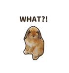 What's up, Everybun！ (English ver.)（個別スタンプ：6）