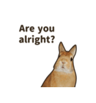 What's up, Everybun！ (English ver.)（個別スタンプ：8）