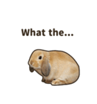 What's up, Everybun！ (English ver.)（個別スタンプ：9）