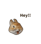 What's up, Everybun！ (English ver.)（個別スタンプ：10）