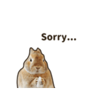 What's up, Everybun！ (English ver.)（個別スタンプ：11）