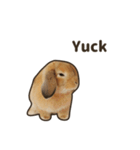 What's up, Everybun！ (English ver.)（個別スタンプ：13）