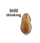 What's up, Everybun！ (English ver.)（個別スタンプ：14）