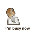 What's up, Everybun！ (English ver.)（個別スタンプ：16）