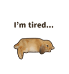 What's up, Everybun！ (English ver.)（個別スタンプ：17）