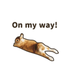 What's up, Everybun！ (English ver.)（個別スタンプ：19）