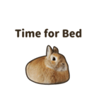 What's up, Everybun！ (English ver.)（個別スタンプ：22）