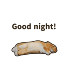 What's up, Everybun！ (English ver.)（個別スタンプ：23）