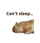 What's up, Everybun！ (English ver.)（個別スタンプ：24）