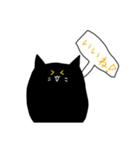 みらねこ（個別スタンプ：12）