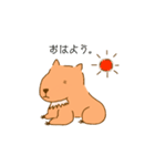 【カピバラ】かっぴーの平凡な生活（個別スタンプ：2）