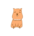 【カピバラ】かっぴーの平凡な生活（個別スタンプ：11）