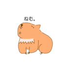 【カピバラ】かっぴーの平凡な生活（個別スタンプ：14）