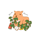 【カピバラ】かっぴーの平凡な生活（個別スタンプ：24）