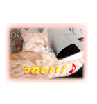 愛しのむぎねぎ（個別スタンプ：2）