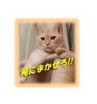 愛しのむぎねぎ（個別スタンプ：5）