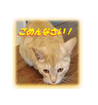 愛しのむぎねぎ（個別スタンプ：8）