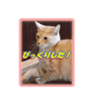 愛しのむぎねぎ（個別スタンプ：11）