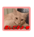 愛しのむぎねぎ（個別スタンプ：12）
