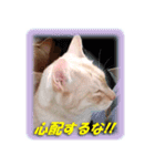 愛しのむぎねぎ（個別スタンプ：14）