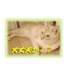 愛しのむぎねぎ（個別スタンプ：15）
