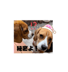 じんめいオリジナル（個別スタンプ：2）