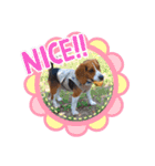 じんめいオリジナル（個別スタンプ：3）