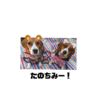 じんめいオリジナル（個別スタンプ：4）