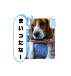 じんめいオリジナル（個別スタンプ：7）