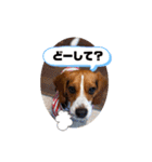 じんめいオリジナル（個別スタンプ：8）