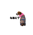 じんめいオリジナル（個別スタンプ：15）