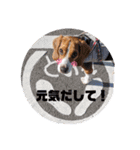 じんめいオリジナル（個別スタンプ：16）