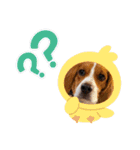 じんめいオリジナル（個別スタンプ：17）