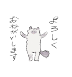 長毛猫のぽんスタンプ（個別スタンプ：2）