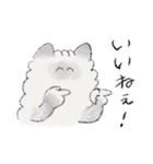 長毛猫のぽんスタンプ（個別スタンプ：11）