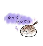 でか文字ときどきニャンコ（個別スタンプ：40）