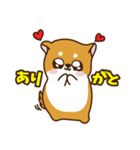 ゆるしばけん（個別スタンプ：2）
