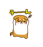 ゆるしばけん（個別スタンプ：3）