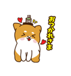 ゆるしばけん（個別スタンプ：5）