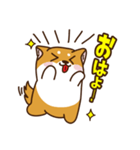 ゆるしばけん（個別スタンプ：6）