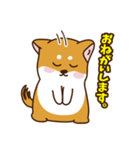 ゆるしばけん（個別スタンプ：9）