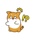 ゆるしばけん（個別スタンプ：13）
