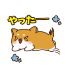 ゆるしばけん（個別スタンプ：15）