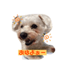 ☆ななとティミー☆（個別スタンプ：1）