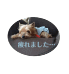 しょこらPart ②（個別スタンプ：4）
