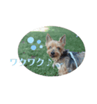 しょこらPart ②（個別スタンプ：14）