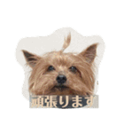 しょこらPart ②（個別スタンプ：18）