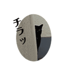 しょこらPart ②（個別スタンプ：23）