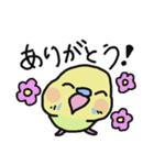 セキセイインコのフクチョウ（個別スタンプ：3）